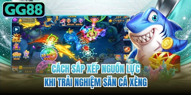 Cách sắp xếp nguồn lực khi trải nghiệm săn cá xèng