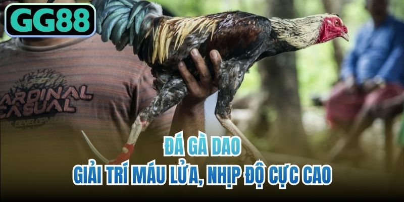 Đá Gà Dao