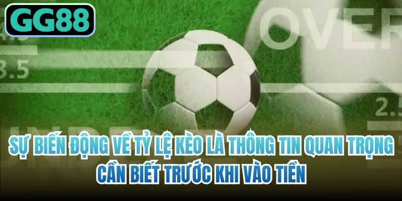 Sự biến động về tỷ lệ kèo là thông tin quan trọng cần biết trước khi vào tiền