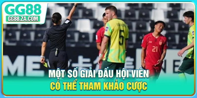 Một số giải đấu hội viên có thể tham khảo cược
